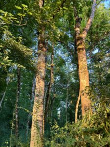 Le concept de l'Eco-parc et ce qu'on y trouve